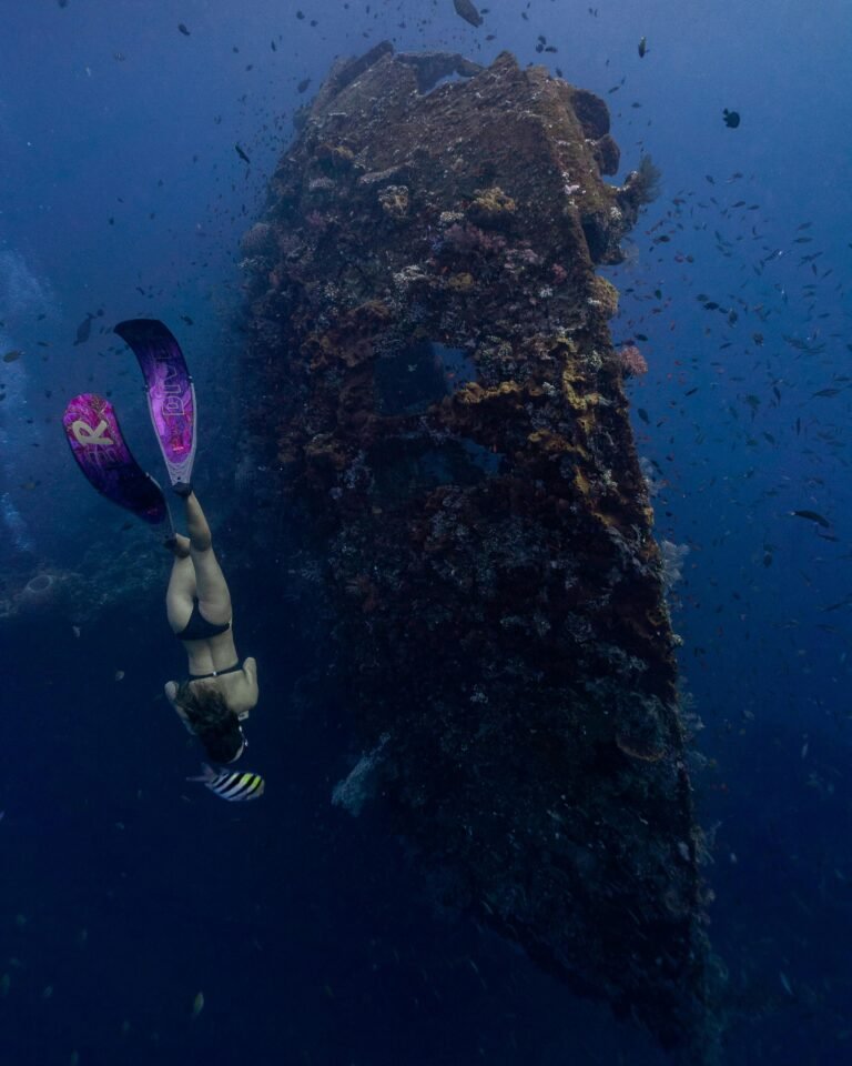 Snorkel