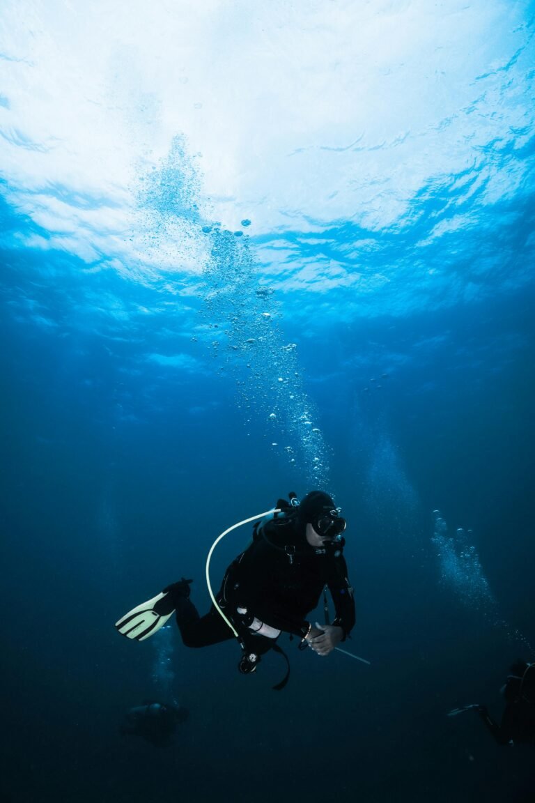 Scuba Dive
