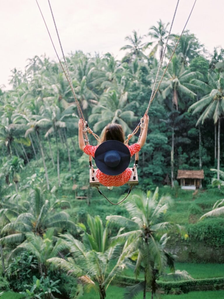 Ubud Swing